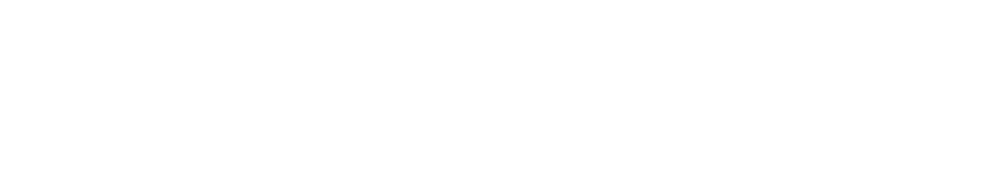 Vioren IT Consultant